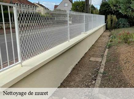 Nettoyage de muret  villeneuve-sur-allier-03460 Entreprise Capello