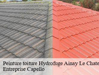 Peinture toiture Hydrofuge ainay-le-chateau-03360 Entreprise Capello