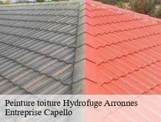 Peinture toiture Hydrofuge arronnes-03250 Entreprise Capello