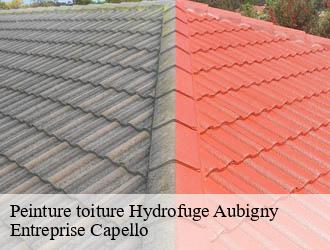 Peinture toiture Hydrofuge aubigny-03460 Entreprise Capello