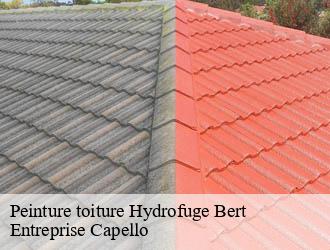 Peinture toiture Hydrofuge bert-03130 Entreprise Capello