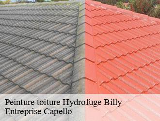 Peinture toiture Hydrofuge billy-03260 Entreprise Capello