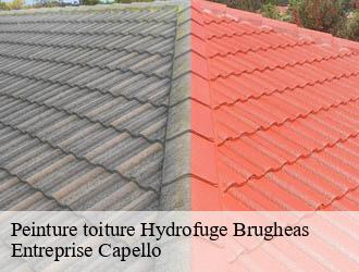 Peinture toiture Hydrofuge brugheas-03700 Entreprise Capello