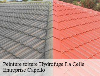 Peinture toiture Hydrofuge  la-celle-03600 Entreprise Capello