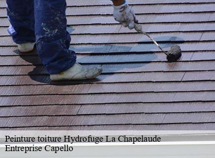 Peinture toiture Hydrofuge la-chapelaude-03380 Entreprise Capello
