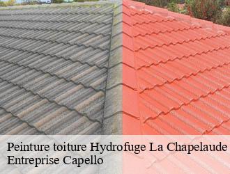 Peinture toiture Hydrofuge la-chapelaude-03380 Entreprise Capello