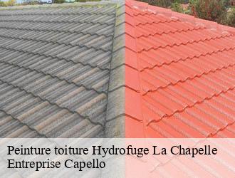 Peinture toiture Hydrofuge la-chapelle-03300 Entreprise Capello