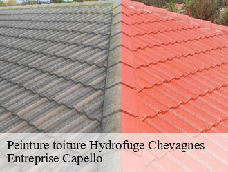 Peinture toiture Hydrofuge chevagnes-03230 Entreprise Capello