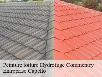 Peinture toiture Hydrofuge commentry-03600 Entreprise Capello