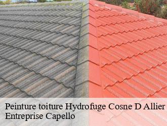 Peinture toiture Hydrofuge cosne-d-allier-03430 Entreprise Capello