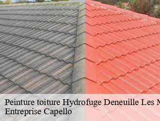 Peinture toiture Hydrofuge deneuille-les-mines-03170 Entreprise Capello