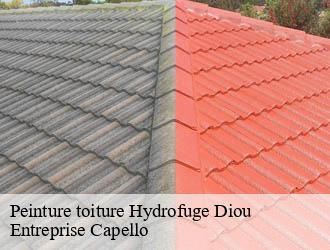 Peinture toiture Hydrofuge diou-03290 Entreprise Capello