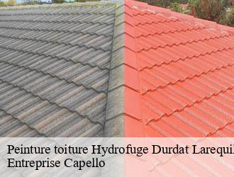 Peinture toiture Hydrofuge durdat-larequille-03310 Entreprise Capello