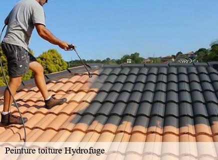 Peinture toiture Hydrofuge  etroussat-03140 Entreprise Capello