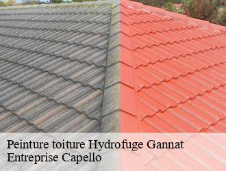 Peinture toiture Hydrofuge gannat-03800 Entreprise Capello