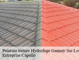Peinture toiture Hydrofuge gannay-sur-loire-03230 Entreprise Capello