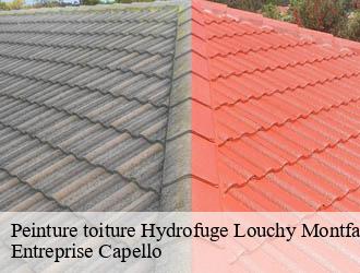 Peinture toiture Hydrofuge louchy-montfand-03500 Entreprise Capello