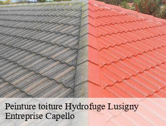 Peinture toiture Hydrofuge lusigny-03230 Entreprise Capello