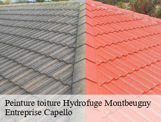 Peinture toiture Hydrofuge montbeugny-03340 Entreprise Capello