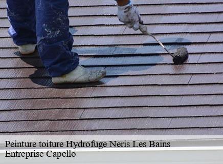 Peinture toiture Hydrofuge neris-les-bains-03310 Entreprise Capello