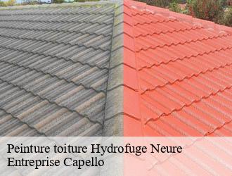 Peinture toiture Hydrofuge neure-03320 Entreprise Capello