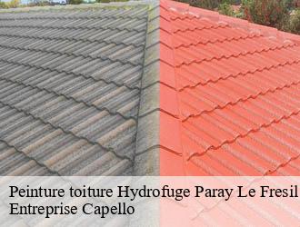 Peinture toiture Hydrofuge  paray-le-fresil-03230 Entreprise Capello
