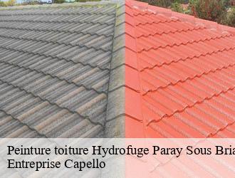 Peinture toiture Hydrofuge  paray-sous-briailles-03500 Entreprise Capello