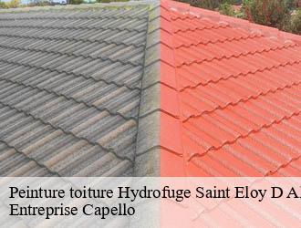 Peinture toiture Hydrofuge saint-eloy-d-allier-03370 Entreprise Capello