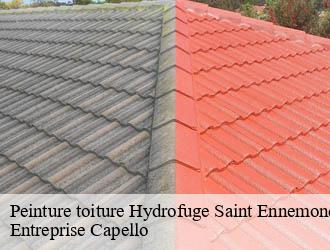 Peinture toiture Hydrofuge saint-ennemond-03400 Entreprise Capello