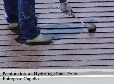 Peinture toiture Hydrofuge saint-felix-03260 Entreprise Capello