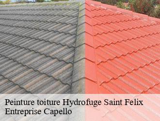Peinture toiture Hydrofuge saint-felix-03260 Entreprise Capello