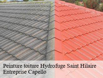 Peinture toiture Hydrofuge saint-hilaire-03440 Entreprise Capello