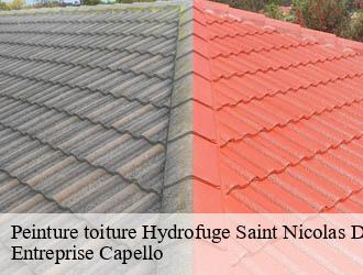 Peinture toiture Hydrofuge saint-nicolas-des-biefs-03250 Entreprise Capello