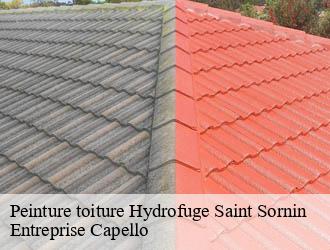 Peinture toiture Hydrofuge saint-sornin-03240 Entreprise Capello
