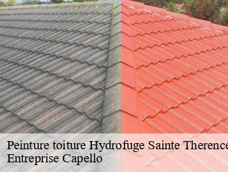 Peinture toiture Hydrofuge sainte-therence-03420 Entreprise Capello