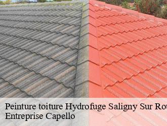 Peinture toiture Hydrofuge saligny-sur-roudon-03470 Entreprise Capello