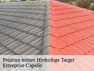 Peinture toiture Hydrofuge target-03140 Entreprise Capello