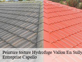Peinture toiture Hydrofuge vallon-en-sully-03190 Entreprise Capello
