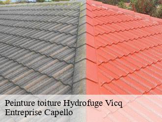 Peinture toiture Hydrofuge vicq-03450 Entreprise Capello