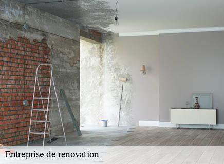 Entreprise de renovation  chatelus-03640 Entreprise Capello