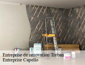 Entreprise de renovation treban-03240 Entreprise Capello