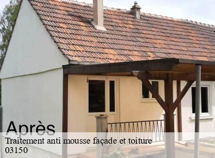 Traitement anti mousse façade et toiture bouce-03150 Entreprise Capello