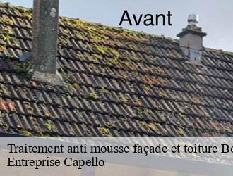 Traitement anti mousse façade et toiture bouce-03150 Entreprise Capello