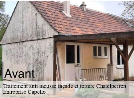 Traitement anti mousse façade et toiture chatelperron-03220 Entreprise Capello