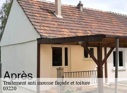 Traitement anti mousse façade et toiture chatelperron-03220 Entreprise Capello