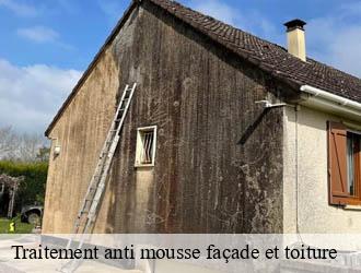 Traitement anti mousse façade et toiture chatelperron-03220 Entreprise Capello