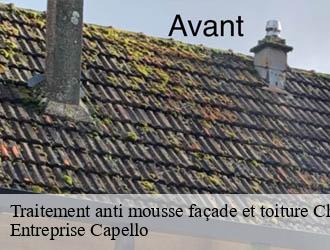 Traitement anti mousse façade et toiture chatelperron-03220 Entreprise Capello