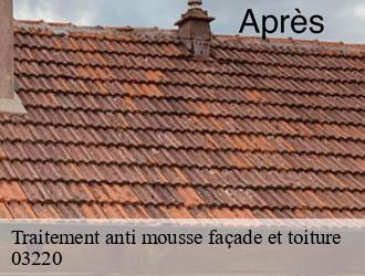 Traitement anti mousse façade et toiture chatelperron-03220 Entreprise Capello