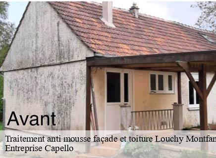 Traitement anti mousse façade et toiture  louchy-montfand-03500 Entreprise Capello