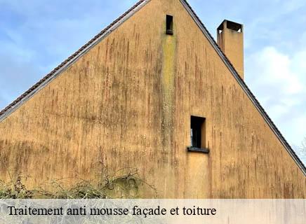 Traitement anti mousse façade et toiture  valigny-03360 Entreprise Capello
